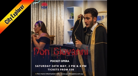 Don Giovanni Pocket Opera