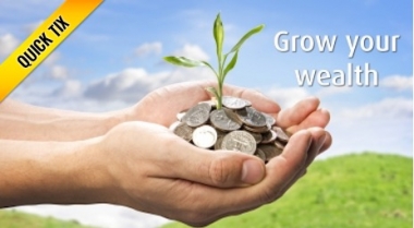 Wealth Creation Course Quick Tix