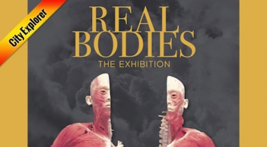 Real Bodies The Exhibition