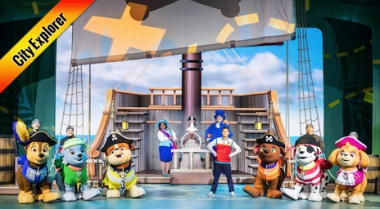Paw Patrol Live