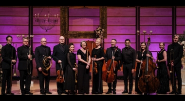 Sounds Of Vienna