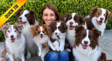 Australias First National Pet Show