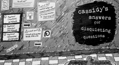 Cassidy's Answers for Disquieting Questions